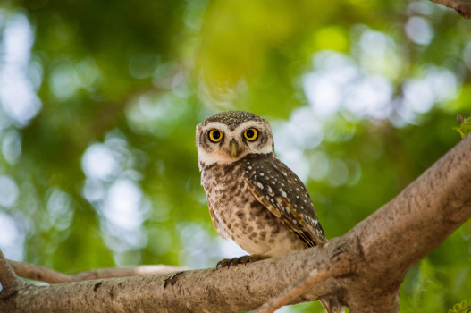 banner-image